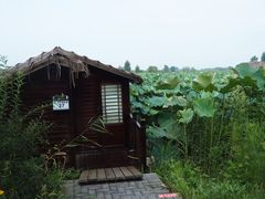 -池杉湖湿地公园