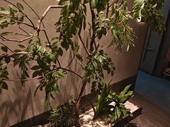 -百富源·海鲜辽菜(张士店)