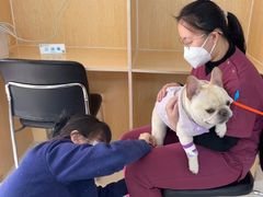 -美联众合动物医院·24h京西诊疗中心