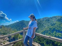 -牛背梁国家森林公园