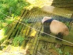 -云南野生动物园