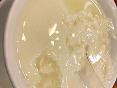 姜汁撞奶-义顺牛奶公司(庇利金街店)