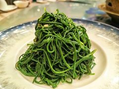 -蒙古大营·蒙古演绎餐厅(赛马场店)