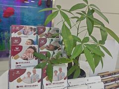 -雅悦齿科(顾村公园店)