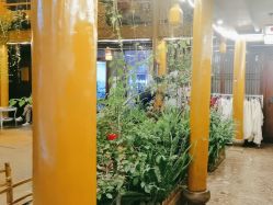 -小红帽摄影(丽江店)