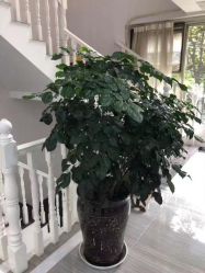 -痘博士昆明·国际祛痘领跑品牌