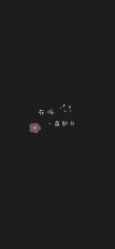-罗亚帝·NASHOW纳秀形象设计