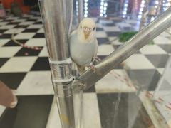 -沈阳百联购物中心(青年大街店)
