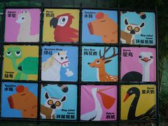 -海合安成都极地海洋公园