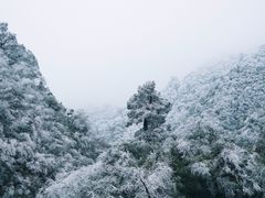 -姑婆山旅游区