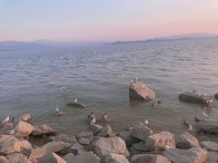 -深圳湾公园(南山区)
