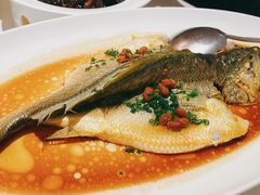 -维园悦谱·海派家常菜(乌鲁木齐南路店)