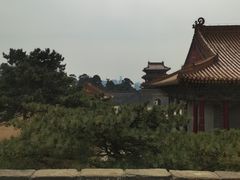 -北陵公园