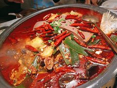 -探鱼·鲜青椒爽麻烤鱼(北京路天河城店)