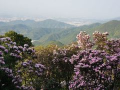 -梧桐山风景名胜区