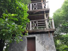 -荷塘月色湿地公园·向阳花洲
