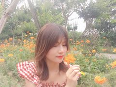 -武汉紫薇都市田园