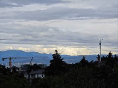 -洱海月湿地公园