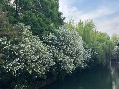 -乌镇景区