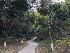 -玉女潭景区