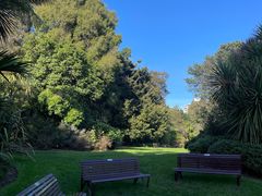 -墨尔本皇家植物园