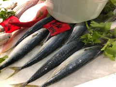 -鱼篮仔·潮汕美食(圆明新园店)