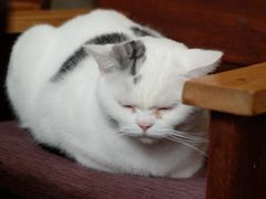 -三仟津花园咖啡馆