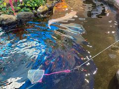 -鸿通城购物中心