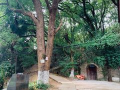 -马王堆汉墓遗址
