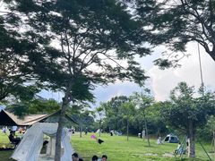 -大屏嶂森林公园
