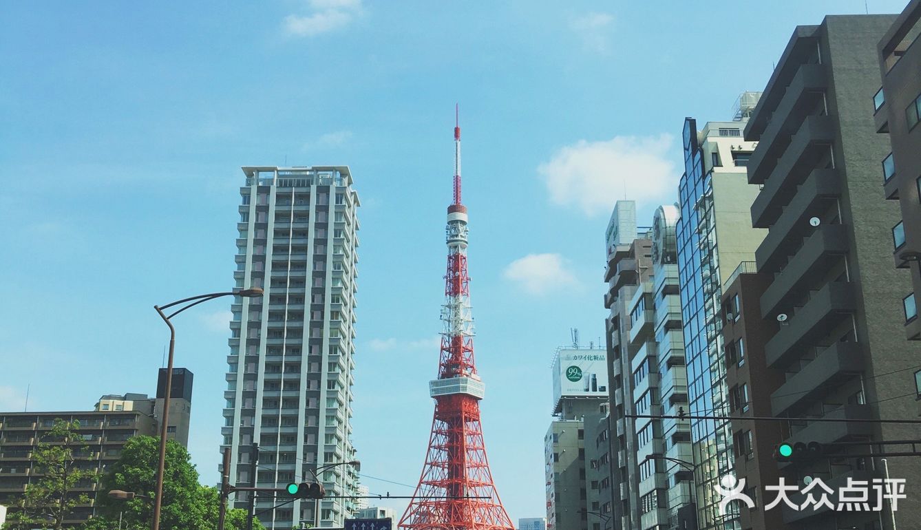 一个人的东京之旅