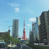 一个人的东京之旅