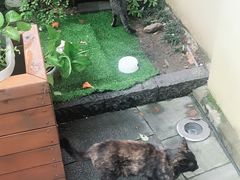 -也枫·小黄楼(南山路旗舰店)