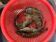 -濠轩阁特色生蚝火锅(水湾路店)