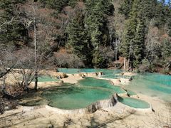 -黄龙山原始森林景区