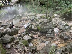 -牛背梁国家森林公园