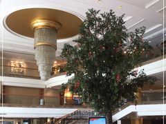 -帝豪酒店•马可勃罗西餐厅