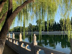 -后海16号·北京私房菜