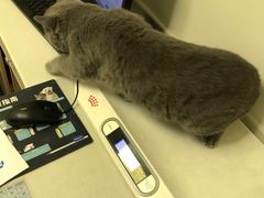 -爱诺耐芙动物医院(万博店)