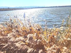 -野鸭湖国家湿地公园