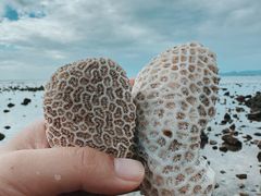 -三亚西岛海洋文化旅游区