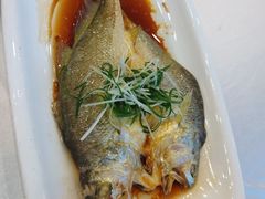 -川林海鲜酒家·湾仔传统早茶·粤菜