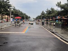 -日照海滨国家森林公园