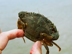 -嵊泗基湖沙滩