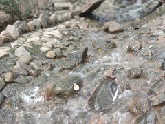 -燕塞湖鸟语林景区