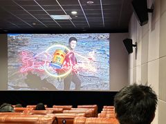 -SFC上影百联影城(八佰伴IMAX店)