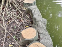 -三水森林公园