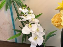 -蘇锦宴·淮扬菜烤鸭·小院(三元桥霄云路店)