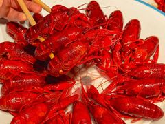 -杨氏青龙虾·羊蝎子(珠江路店)