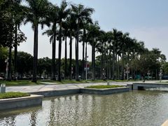 -顺峰山公园